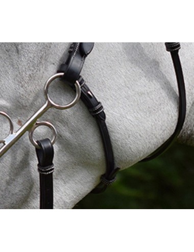Hackamore Cheek Pieces and Strap - Week Collection