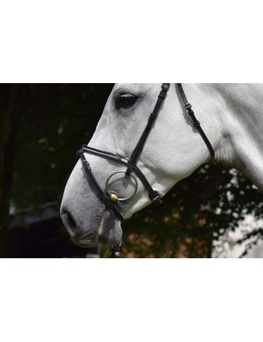 Sunday Bridle - Week Collection