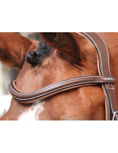New York Browband - One Collection