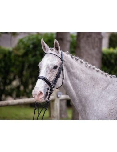 Courchevel Double Bridle - One Collection