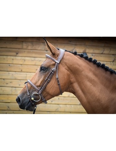 London Bridle - One Collection