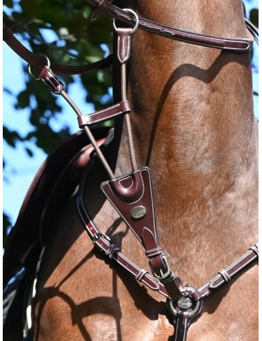Elastic Martingale for breastplate