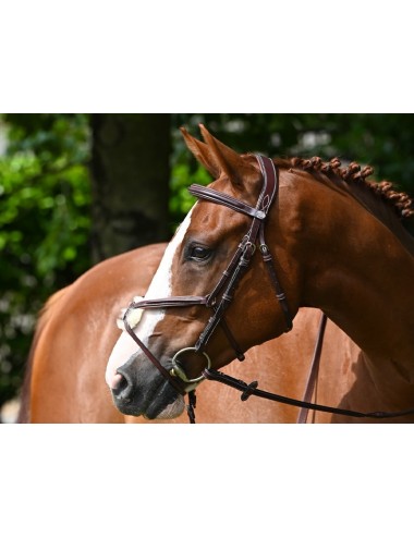 Tuesday Bridle mexican noseband - Week Collection