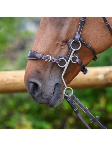 Hackamore protection for 0091 and 0092