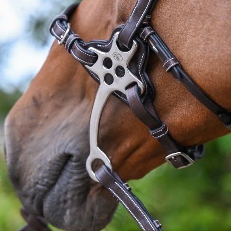 Hackamore Protection 0093 Hackamore Protection 0093