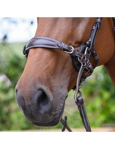 Leather hackamore nose