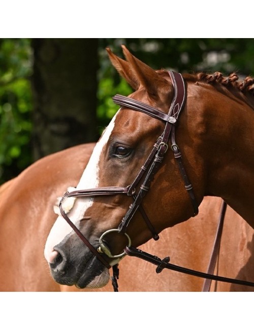 Tuesday Bridle mexican noseband - Week Collection