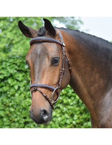 Crystal Bridle with Combined Noseband in Havana and Navy Crystal - Week Collection