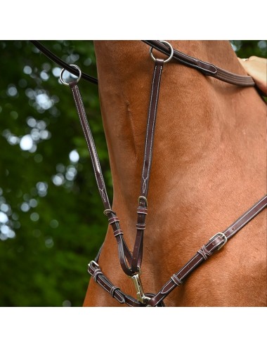 Martingale for Monday and Tuesday breastplate