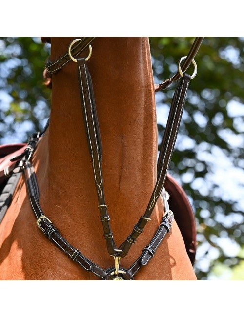 Martingale for Wednesday and Crystal breastplate