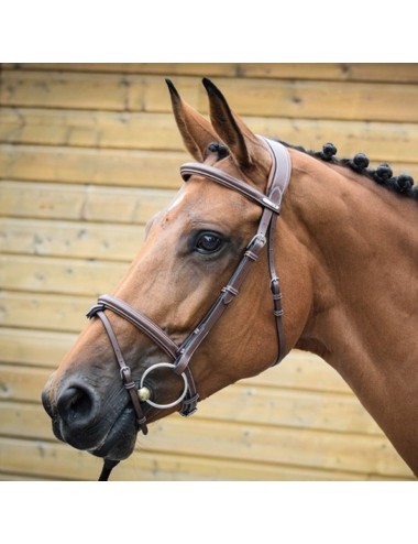 London Bridle - One Collection