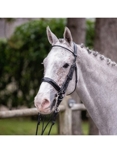 Courchevel Double Bridle - One Collection