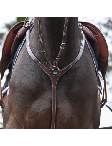 Clincher Breastplate and martingale - One Collection Premium