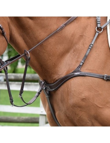 2 in 1 Breastplate and Martingale