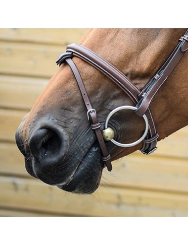 London Noseband - One Collection