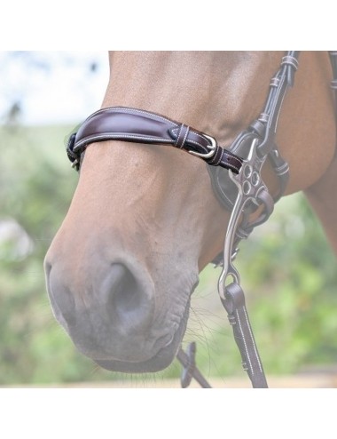 Leather hackamore nose