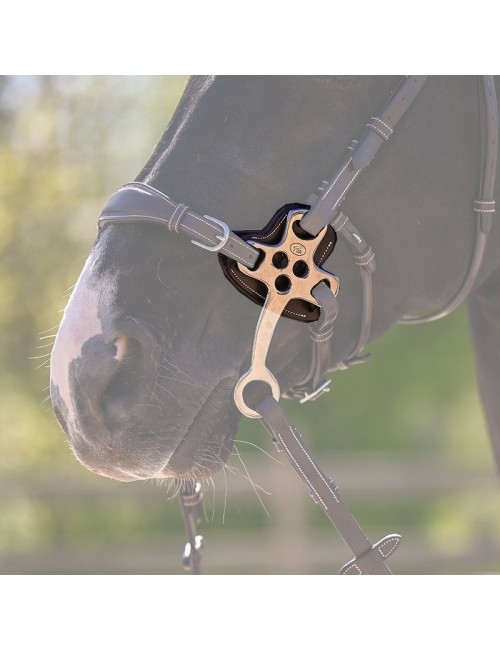 Protections pour hackamore 0093